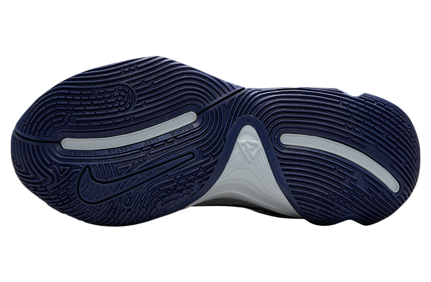 Nike Giannis Immortality 4 Wolf Grey / Pure Platinum