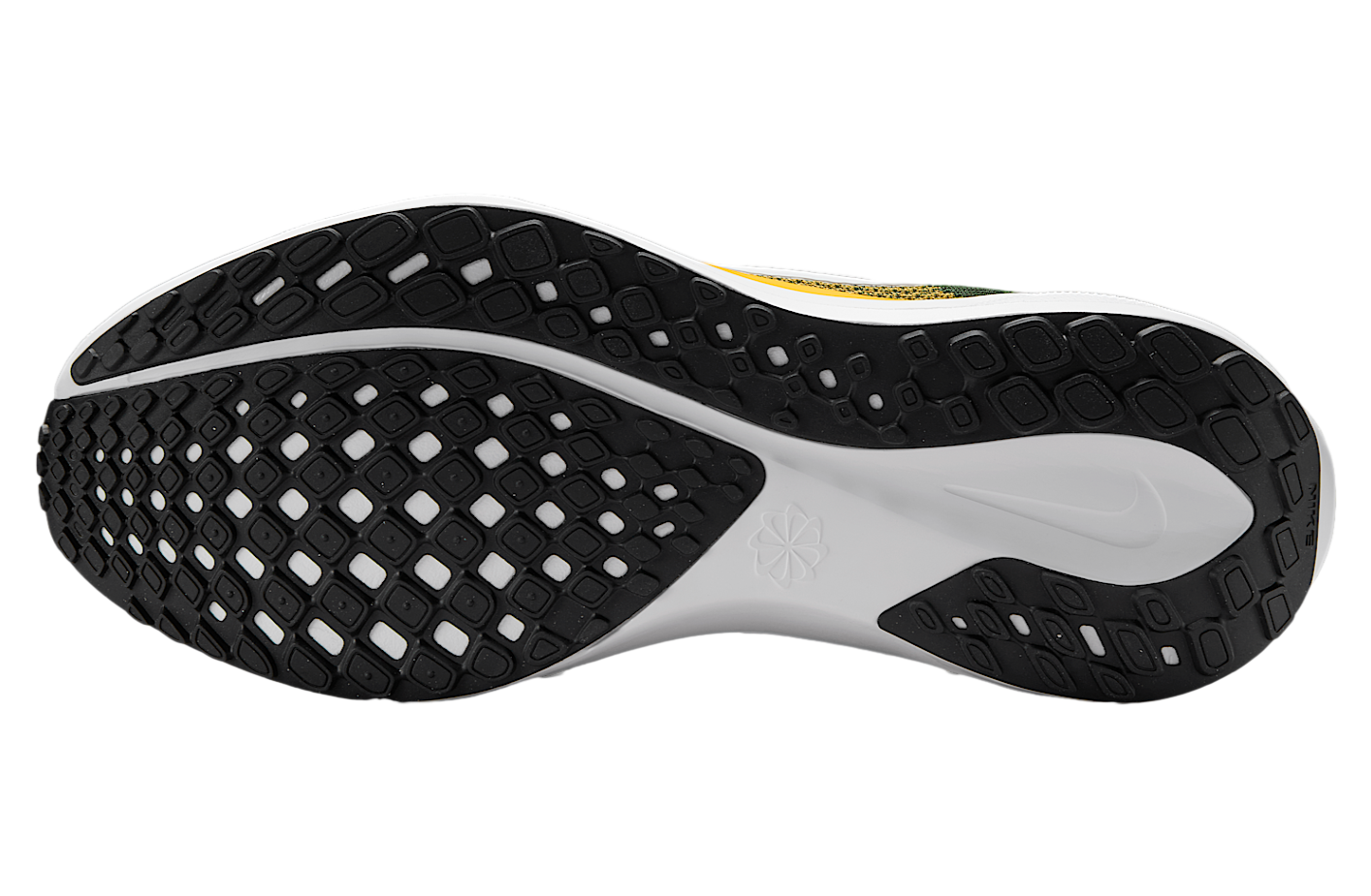 Nike Green Bay Packers Pegasus 41 Fir / University Gold