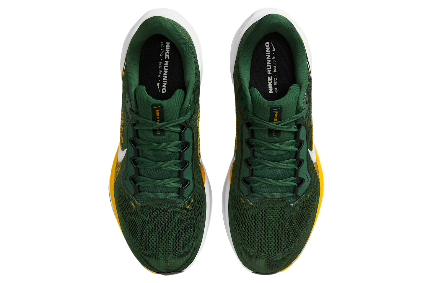 Nike Green Bay Packers Pegasus 41 Fir / University Gold