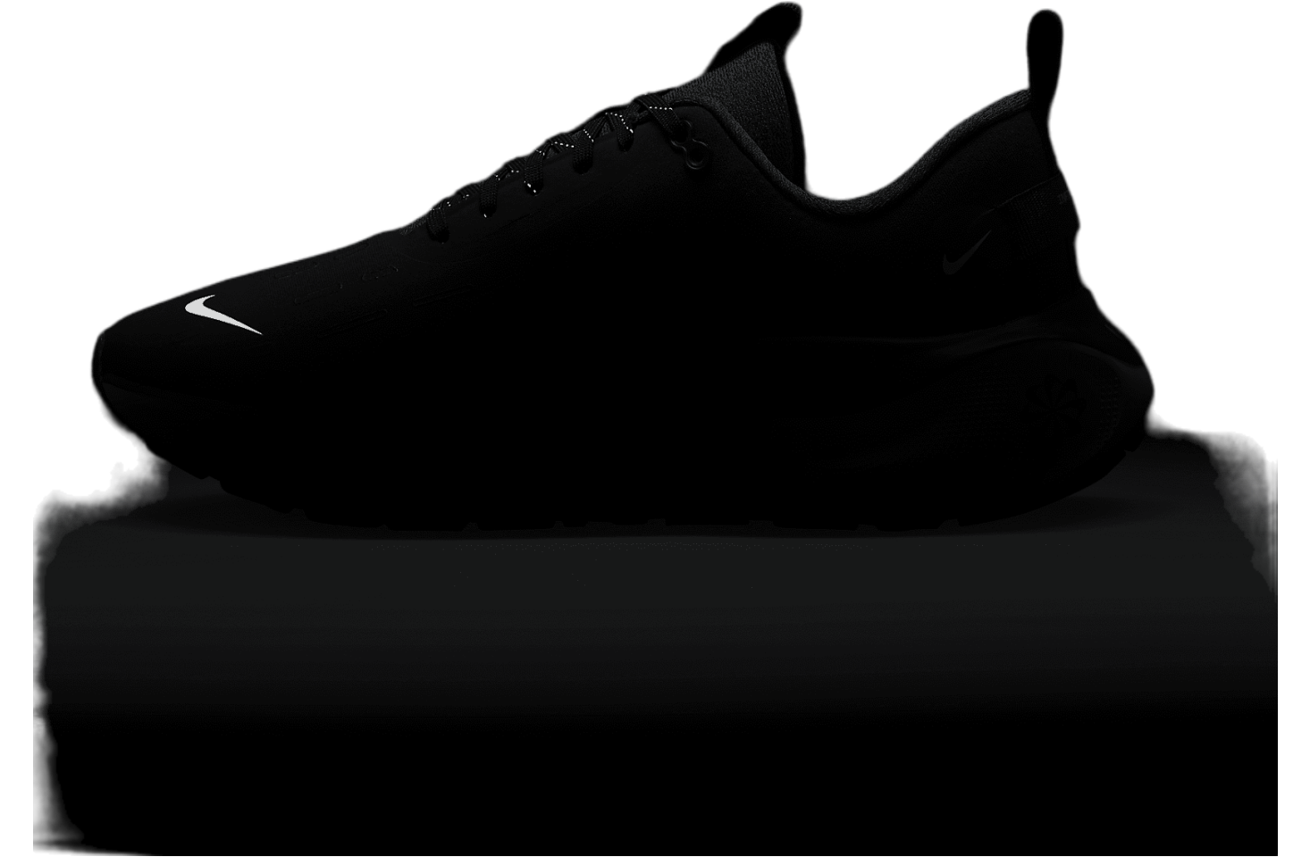 Nike InfinityRN 4 GORE-TEX Black / Anthracite