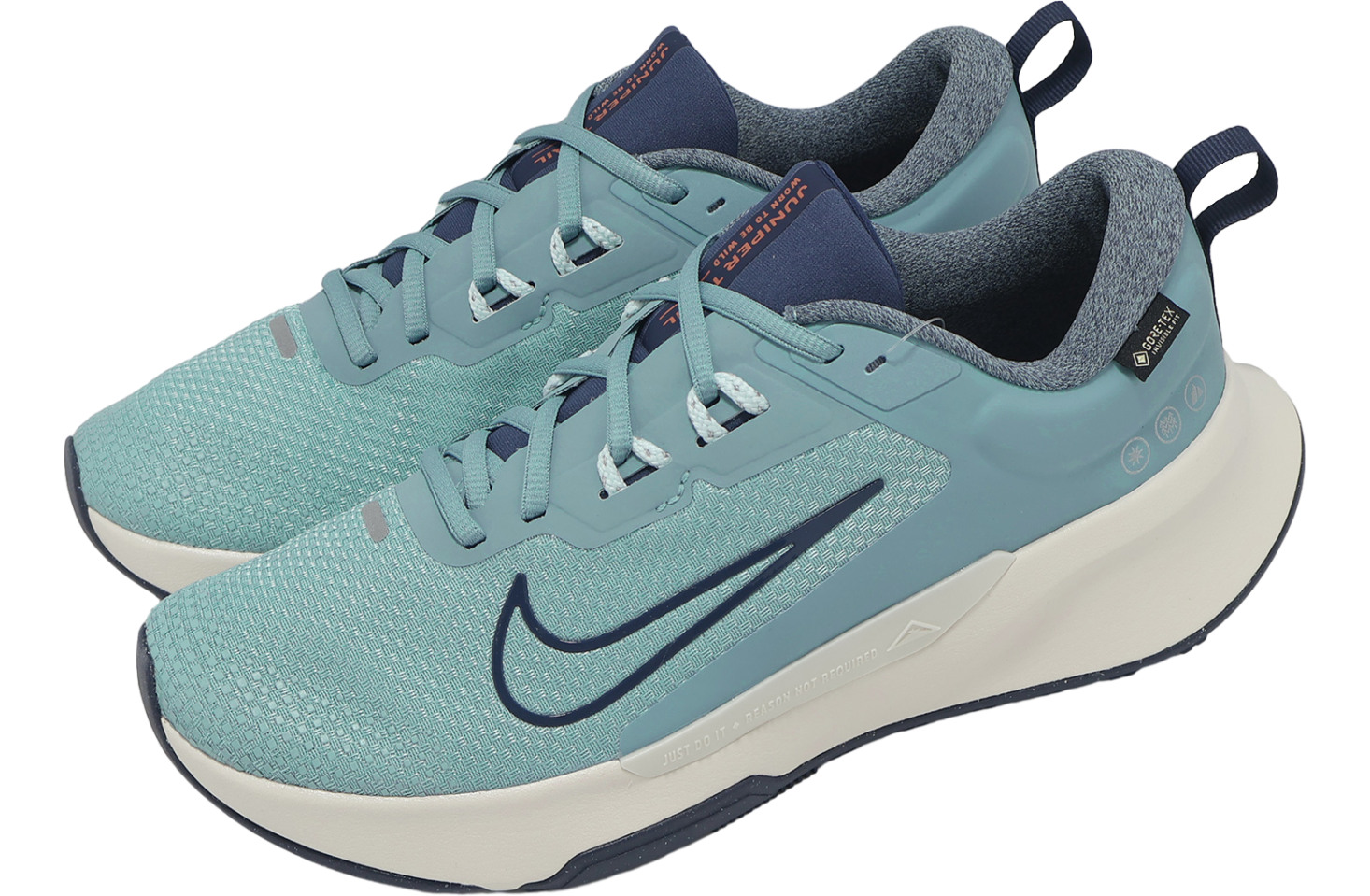 Nike Juniper Trail 2 GTX Denim Turquoise / Midnight Navy