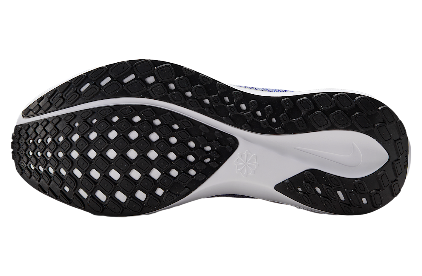 Nike Kentucky Pegasus 41 Game Royal / Night Silver