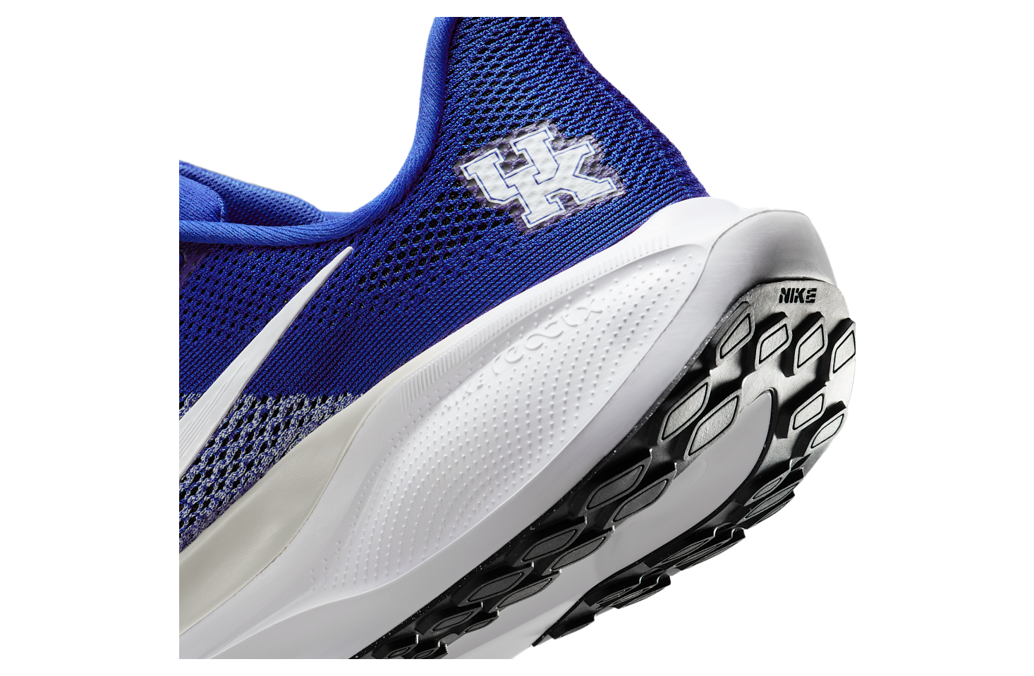 Nike Kentucky Pegasus 41 Game Royal / Night Silver