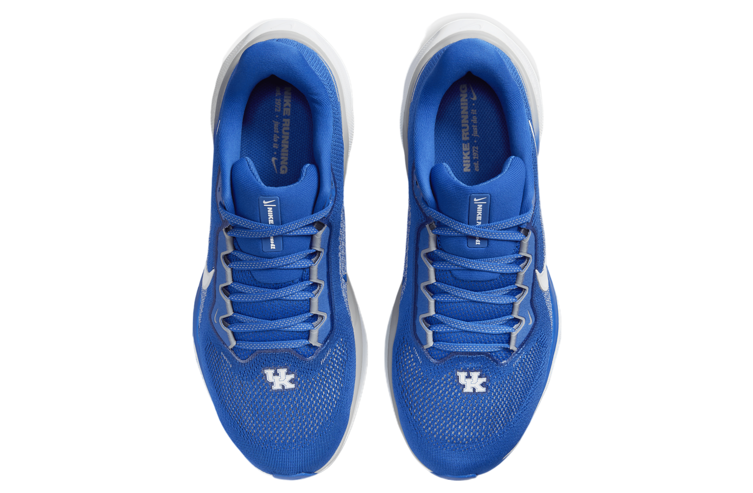 Nike Kentucky Pegasus 41 Game Royal / White