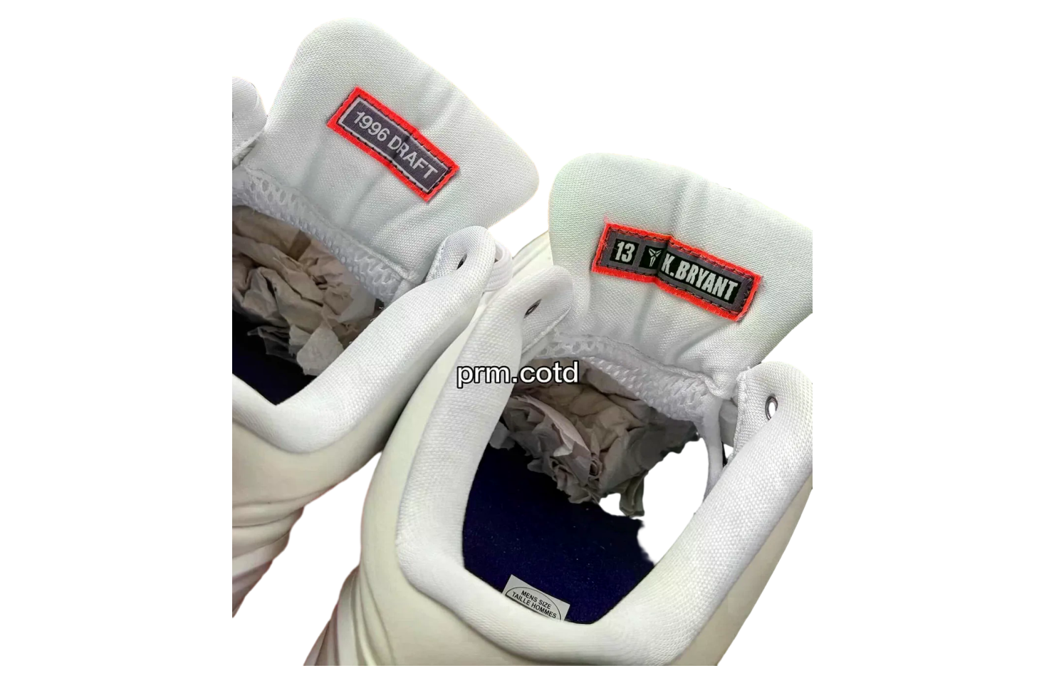 Nike Kobe 4 Protro Toronto Raptors