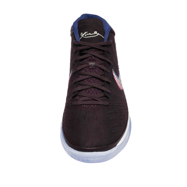 Nike Kobe AD EP Port Wine / Multi 922484602