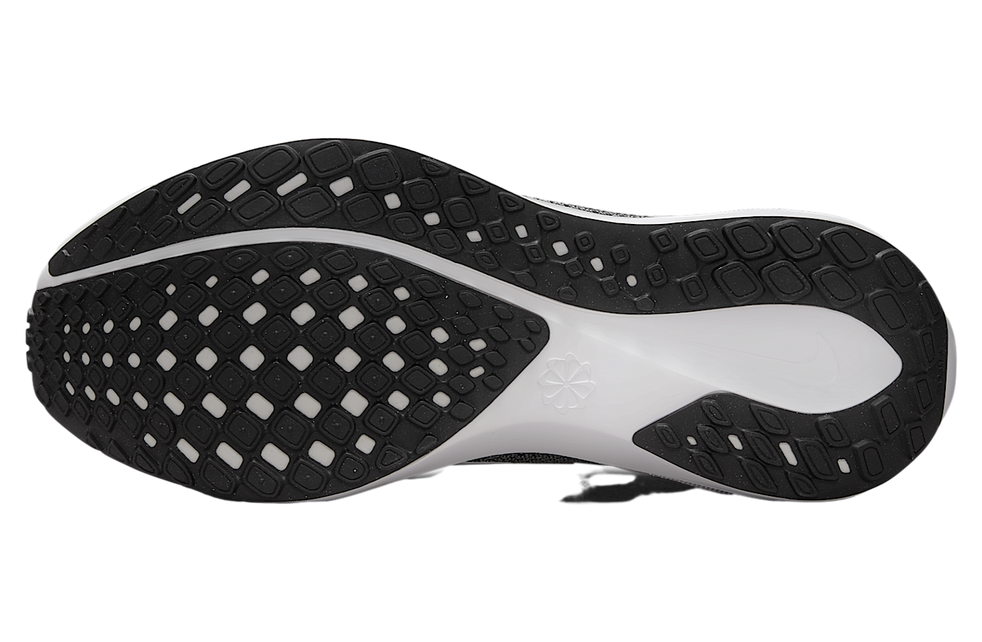 Nike Las Vegas Raiders Pegasus 41 Black / Field Silver