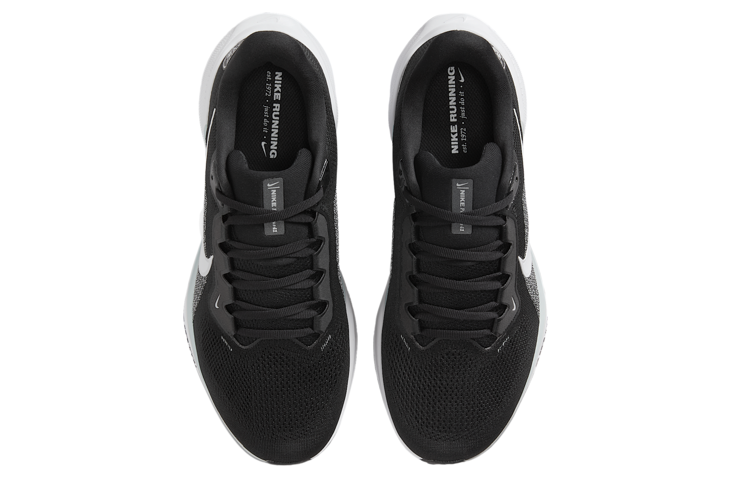 Nike Las Vegas Raiders Pegasus 41 Black / Field Silver
