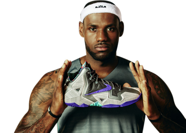Nike LeBron 11 - Terracotta Warrior 616175005