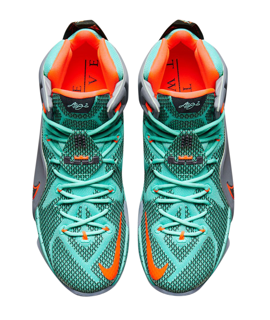 Nike Lebron 12 "NSRL" 684593301