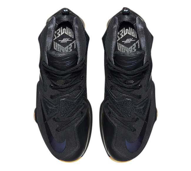 Nike LeBron 13 Black Lion - Jan 2016 - 807219001
