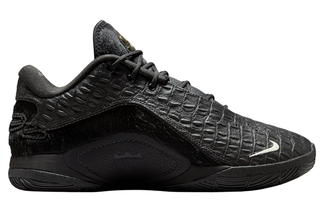 Nike Lebron 22 Black Label Black / Metallic Gold
