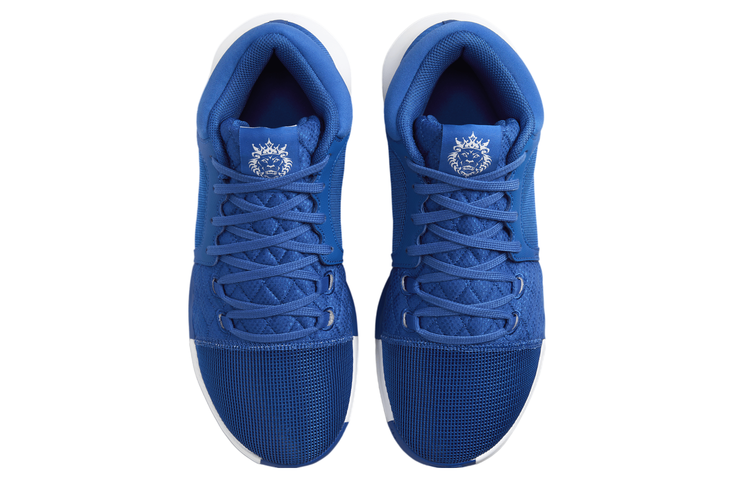 Nike LeBron Witness 8 Game Royal / White