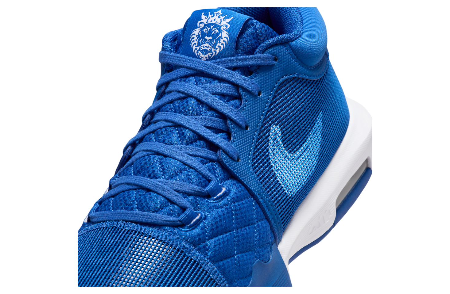 Nike LeBron Witness 8 Game Royal / White