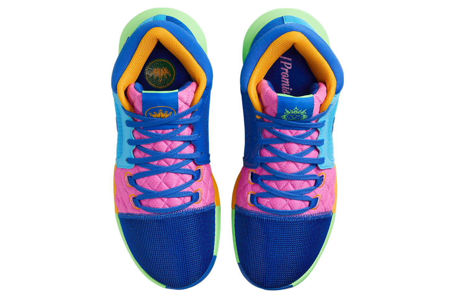 Nike Lebron Witness 8 I Promise School Multi / Color