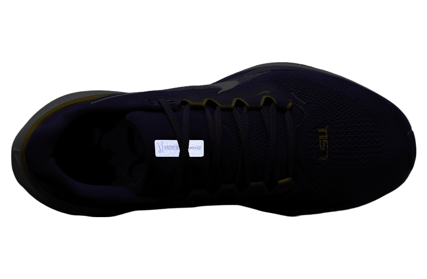 Nike LSU Pegasus 41 Court Purple / White