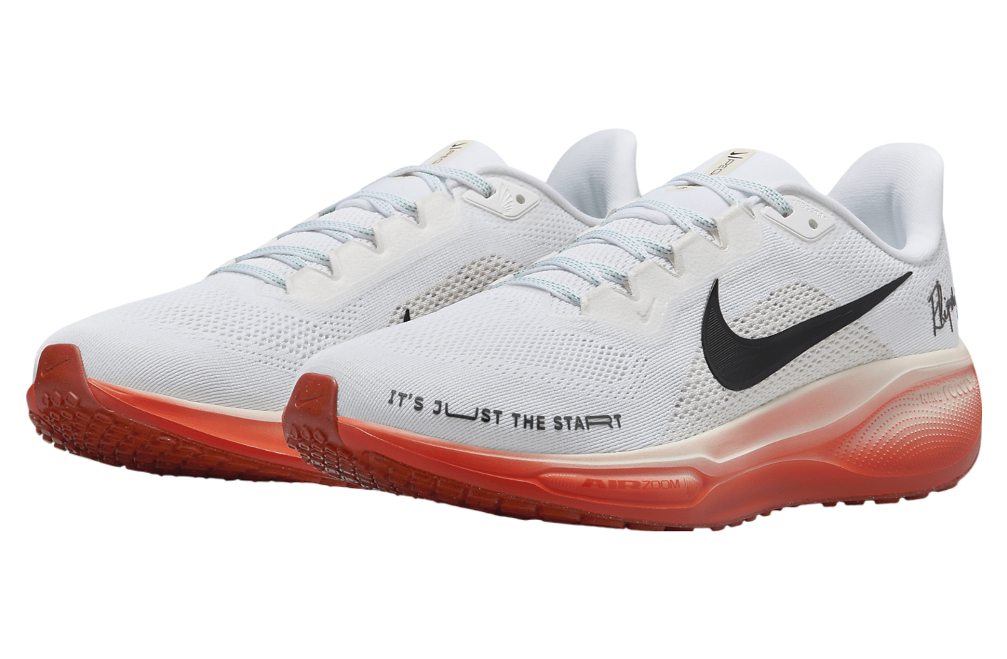 Nike Pegasus 41 Eliud Kipchoge White / Pale Ivory