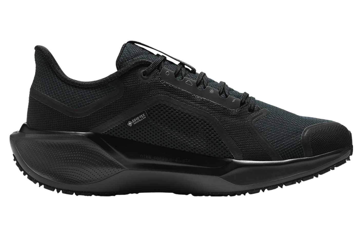 Nike Pegasus 41 Gore-Tex Black / Anthracite / Black