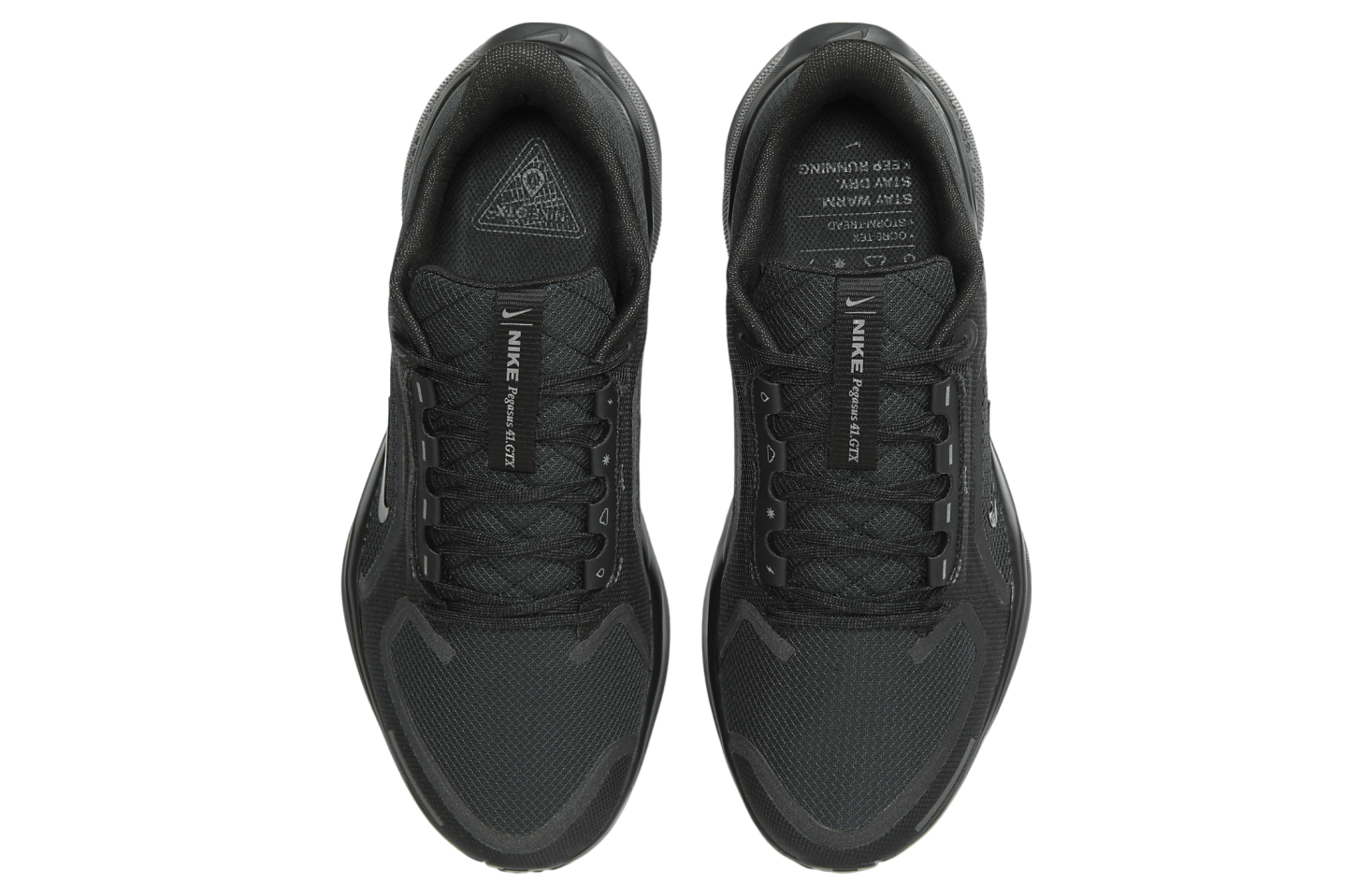 Nike Pegasus 41 Gore-Tex Black / Anthracite / Black