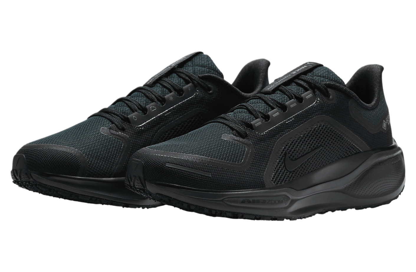 Nike Pegasus 41 Gore-Tex Black / Anthracite / Black