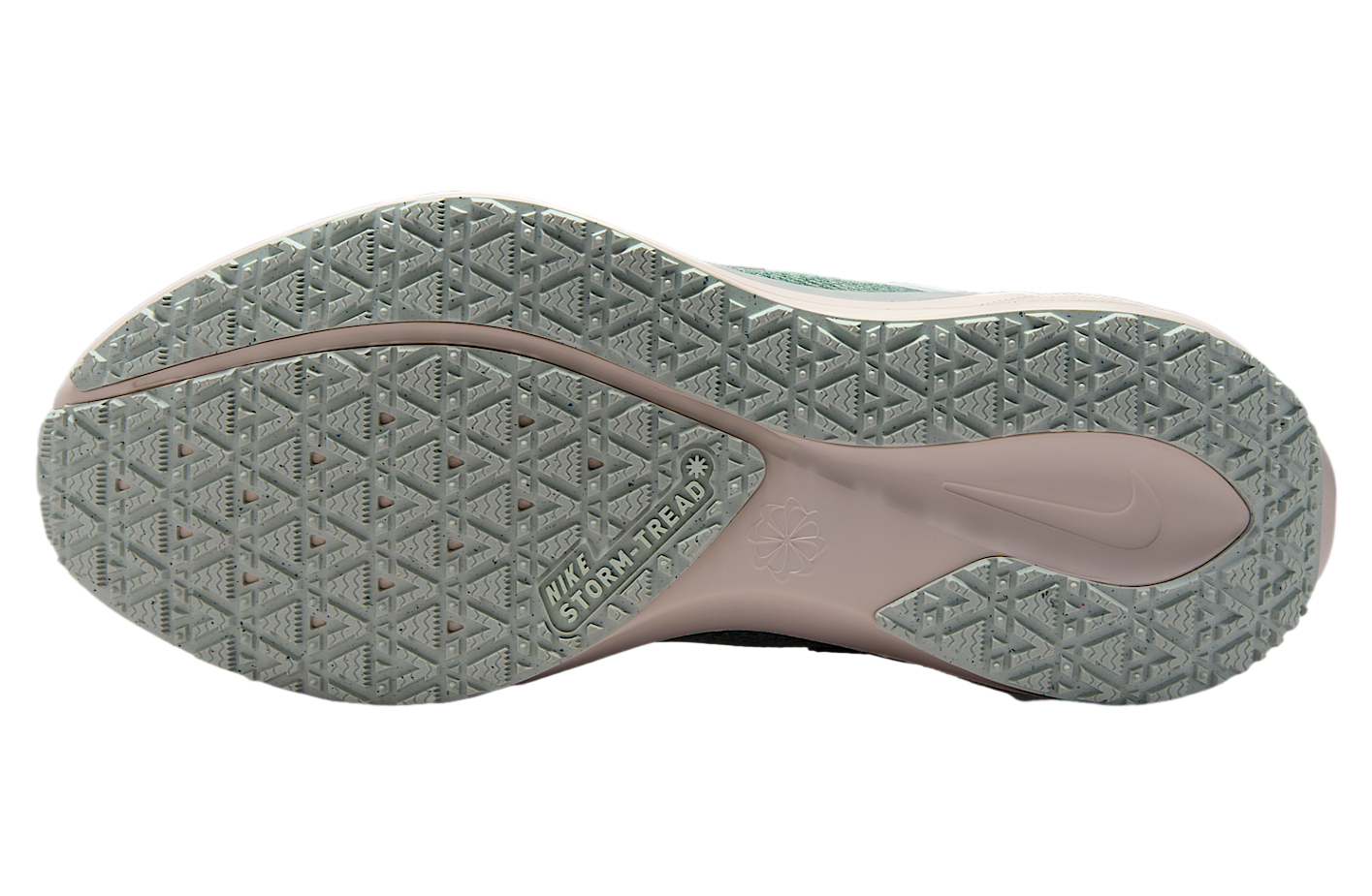 Nike Pegasus 41 Gore-Tex Light Pumice / Pure Platinum