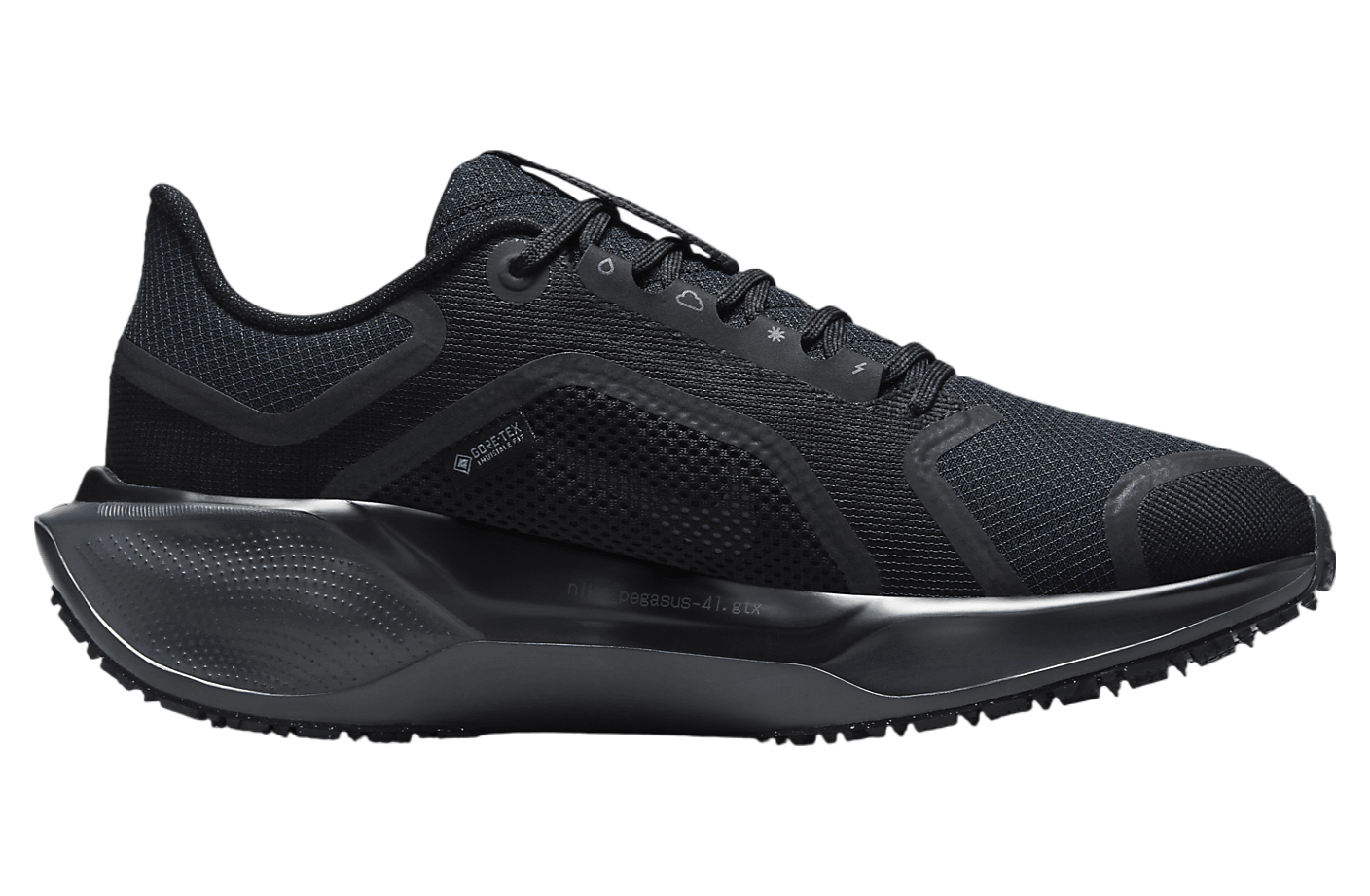 Nike Pegasus 41 Gore-Tex WMNS Black / Anthracite