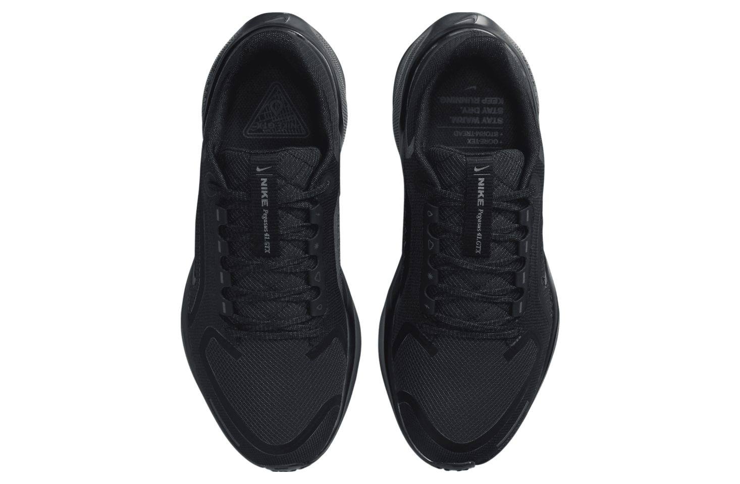 Nike Pegasus 41 Gore-Tex WMNS Black / Anthracite