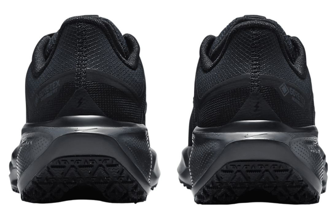 Nike Pegasus 41 Gore-Tex WMNS Black / Anthracite