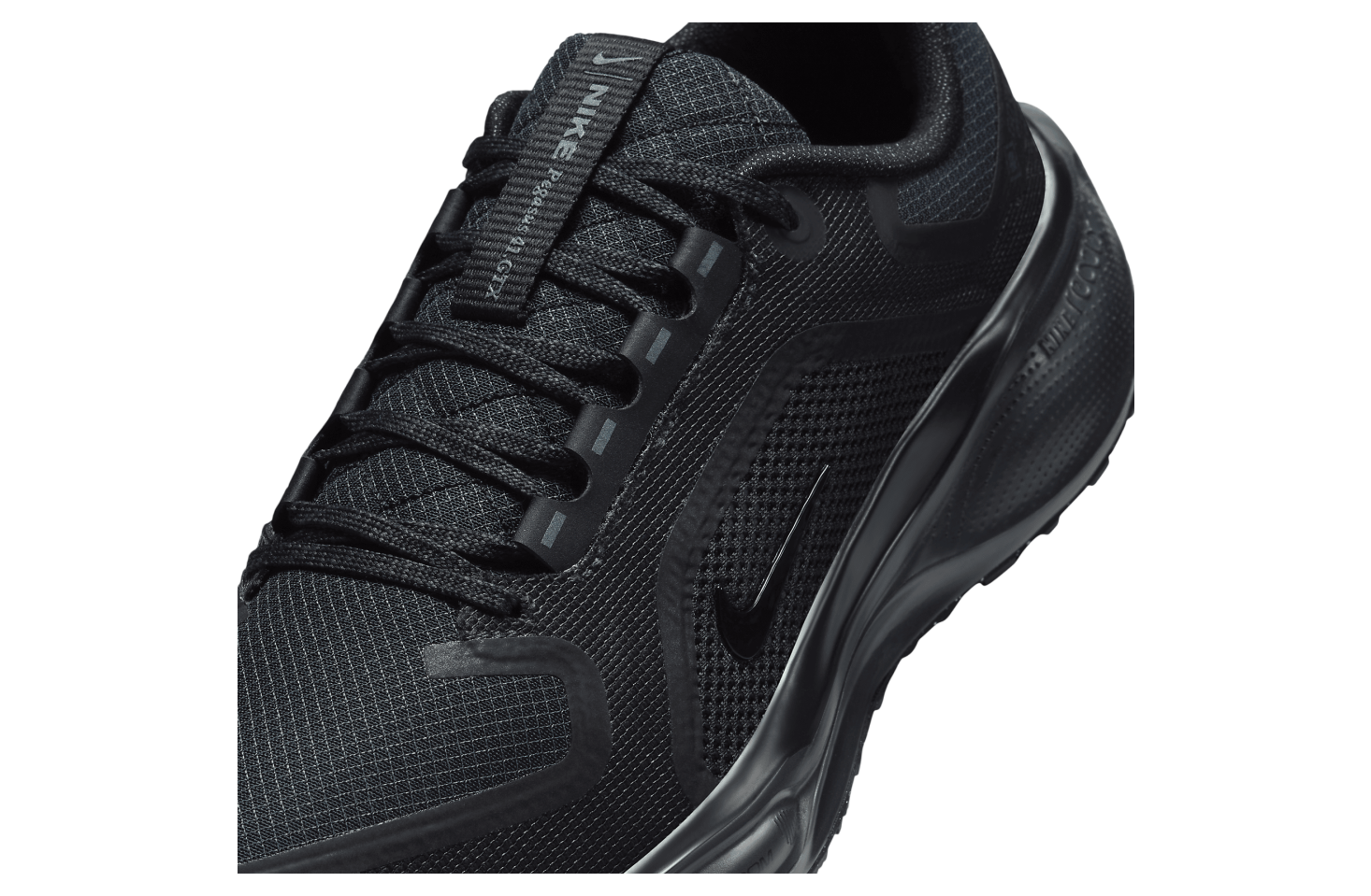 Nike Pegasus 41 Gore-Tex WMNS Black / Anthracite