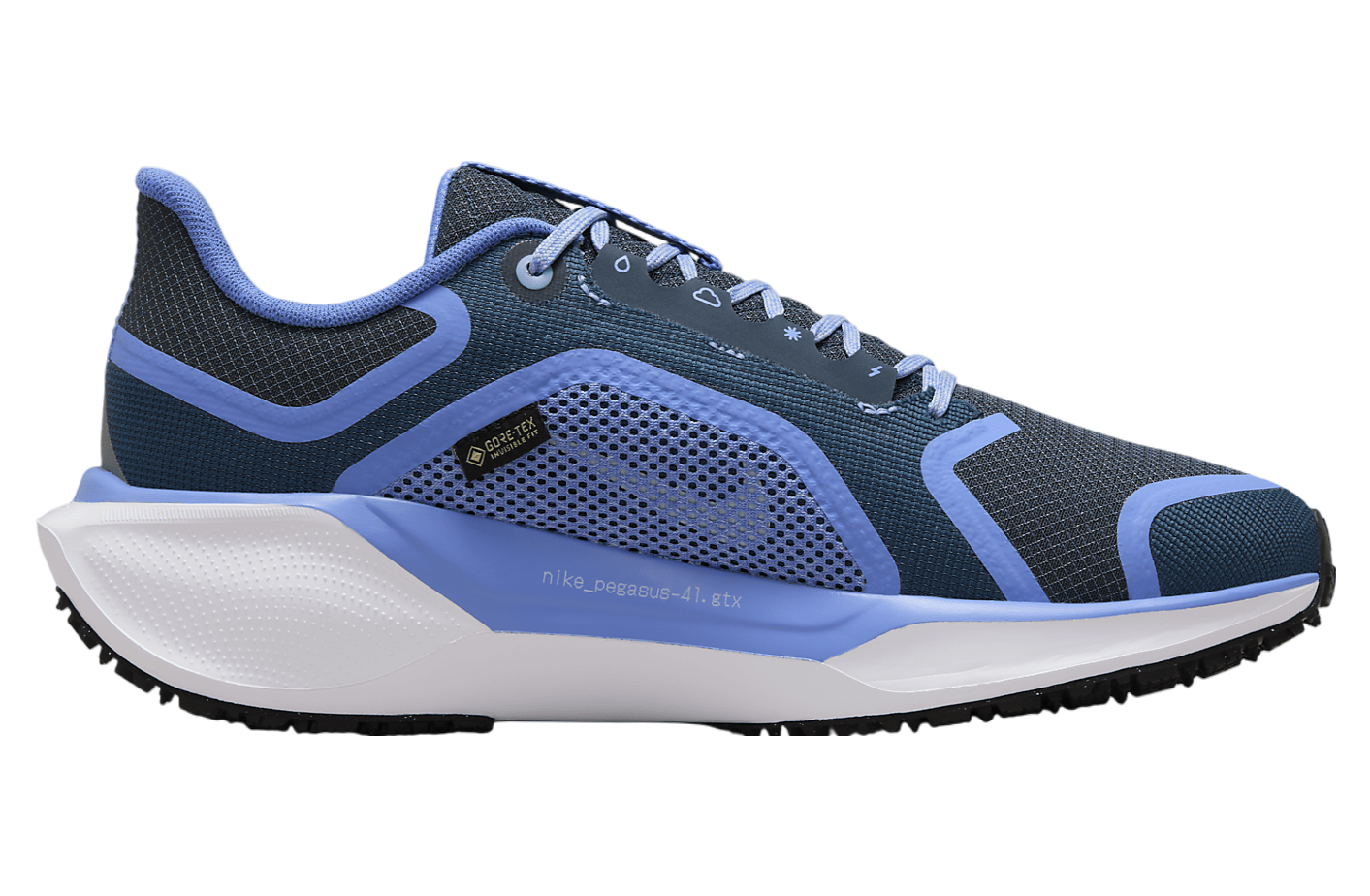 Nike Pegasus 41 Gore-Tex WMNS Cobalt Bliss / Armory Navy