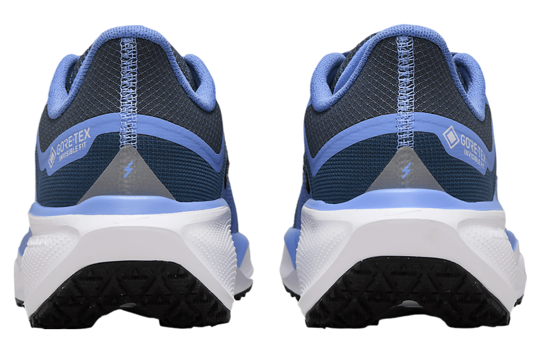 Nike Pegasus 41 Gore-Tex WMNS Cobalt Bliss / Armory Navy