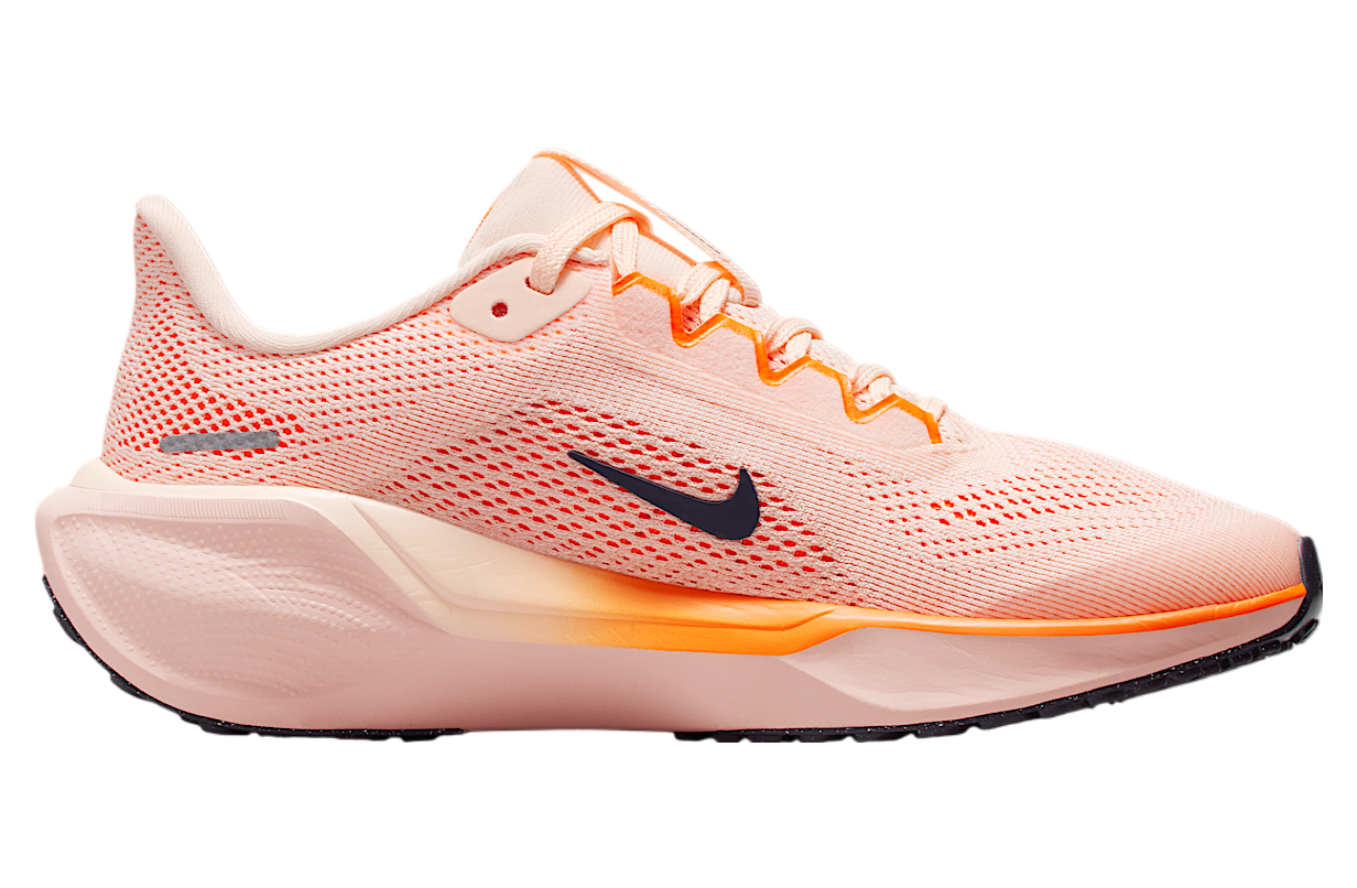 Nike Pegasus 41 Gs Crimson Tint / Washed Coral
