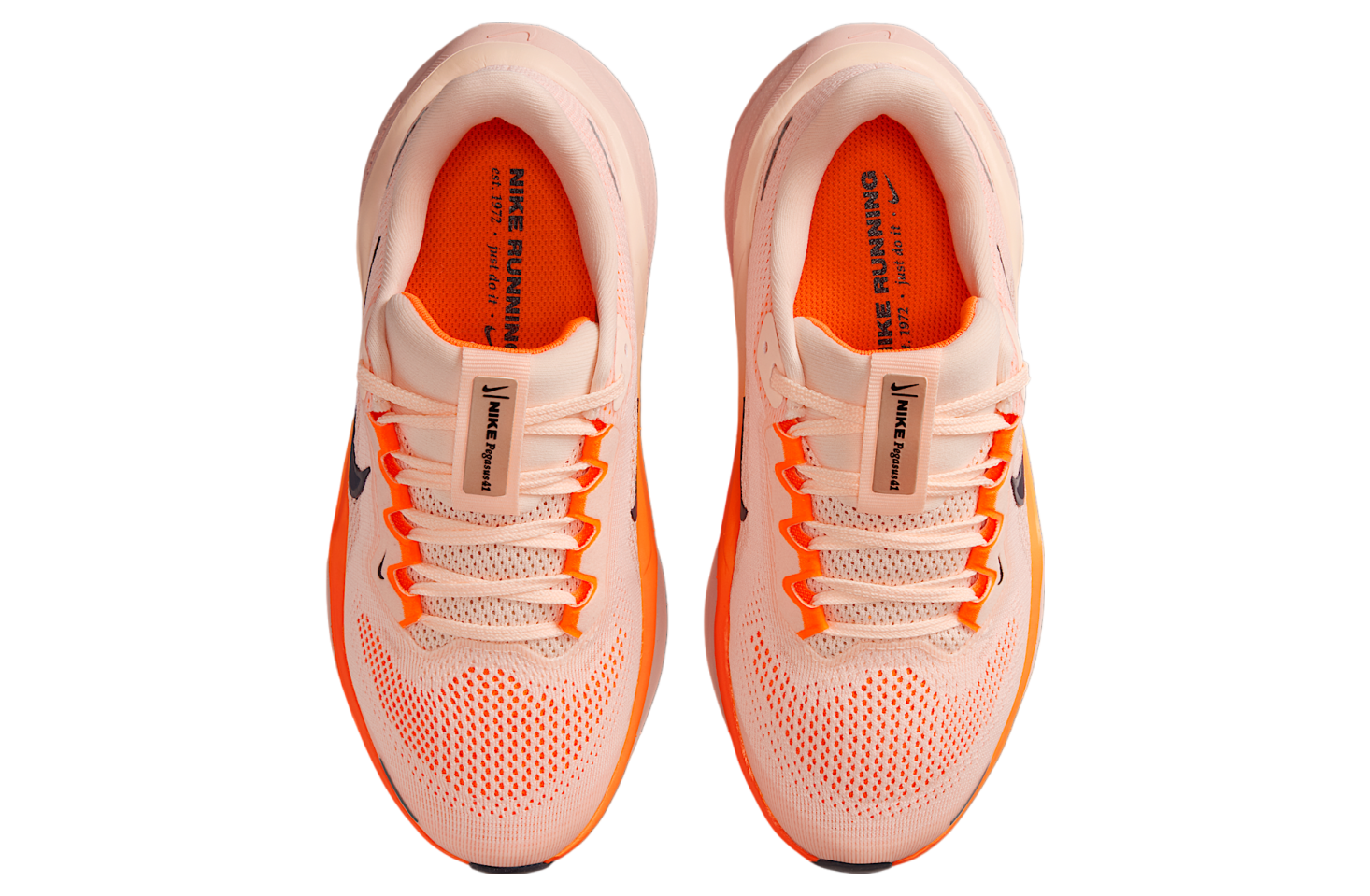 Nike Pegasus 41 Gs Crimson Tint / Washed Coral