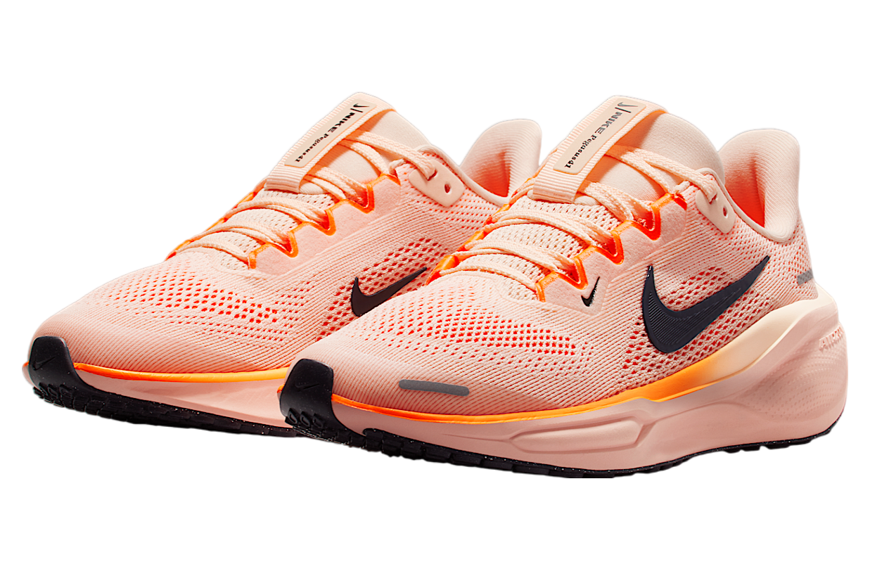 Nike Pegasus 41 Gs Crimson Tint / Washed Coral