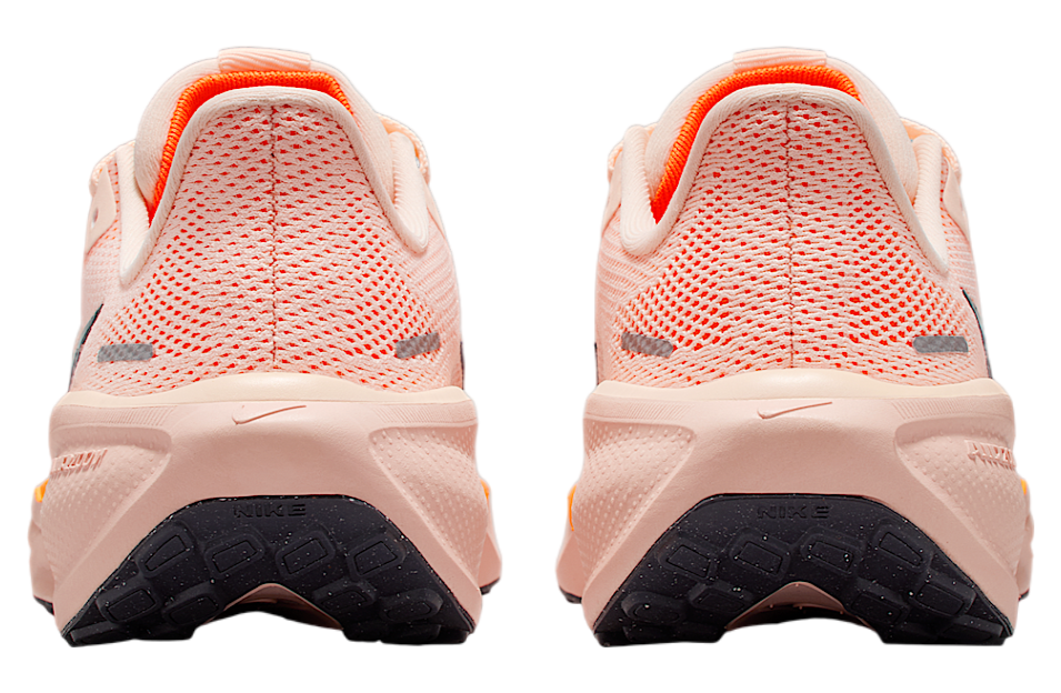 Nike Pegasus 41 Gs Crimson Tint / Washed Coral