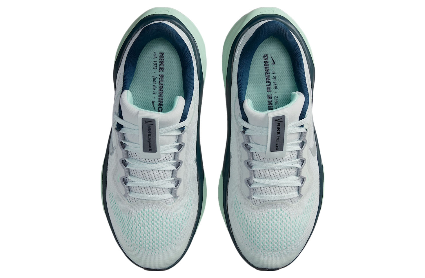 Nike Pegasus 41 Gs Ghost Aqua / Mint Foam