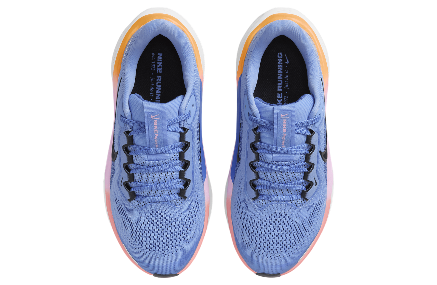 Nike Pegasus 41 GS Royal Pulse / Astronomy Blue