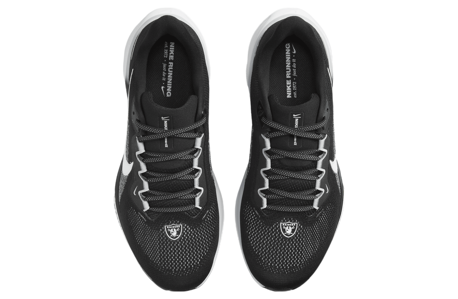 Nike Pegasus 41 Nfl Las Vegas Raiders Black / White