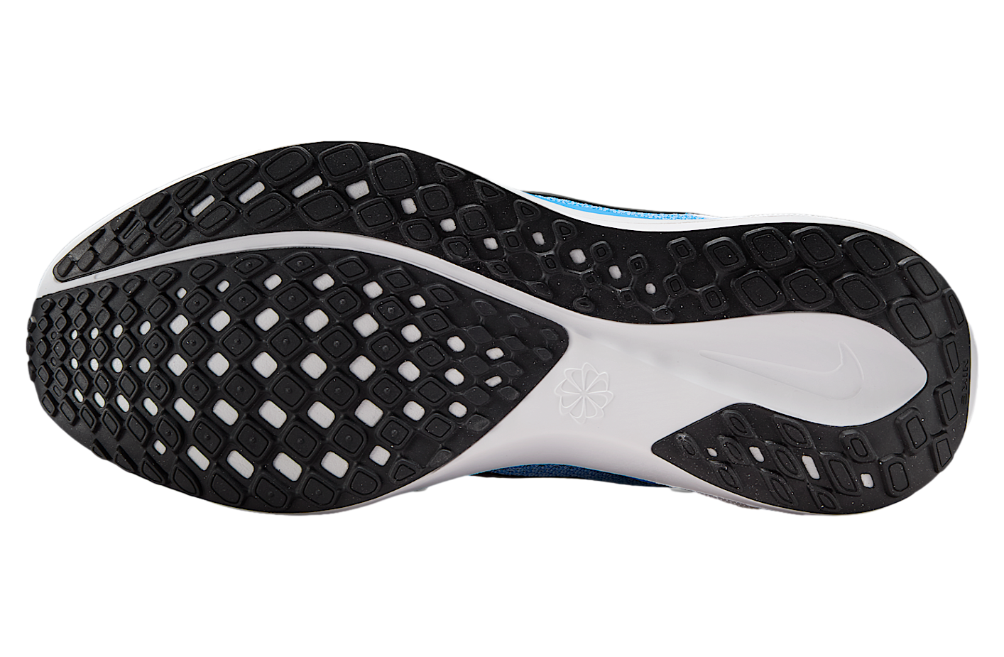 Nike Pegasus 41 White / Blue Hero