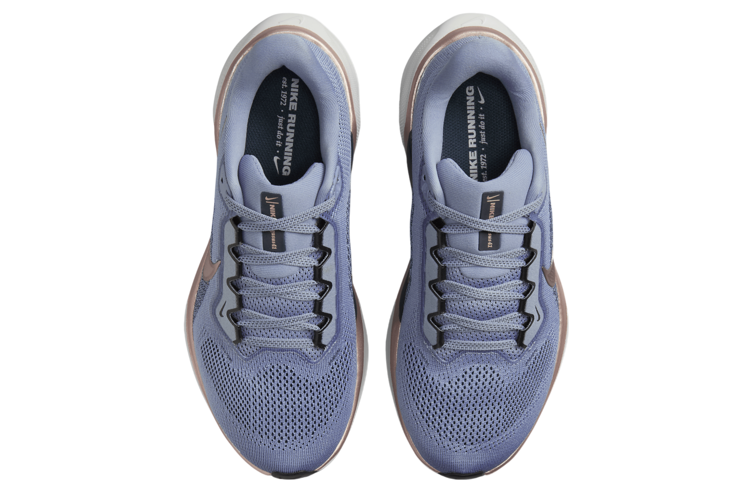 Nike Pegasus 41 WMNS Ashen Slate / Armory Navy