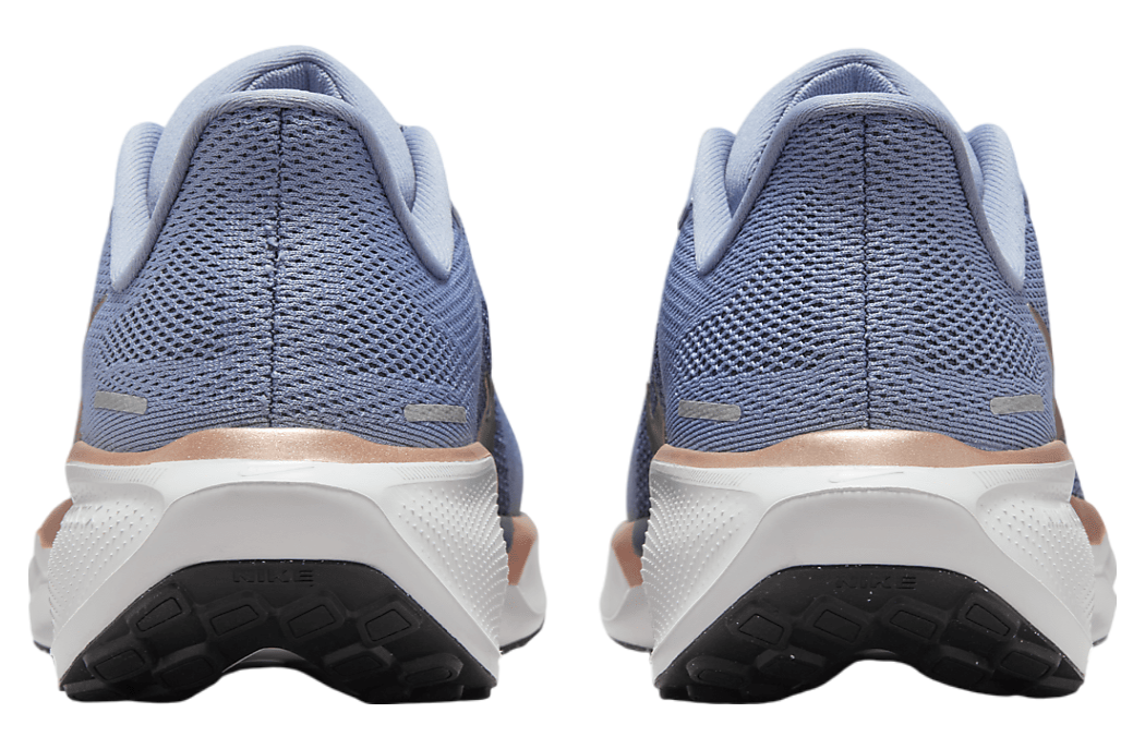 Nike Pegasus 41 WMNS Ashen Slate / Armory Navy