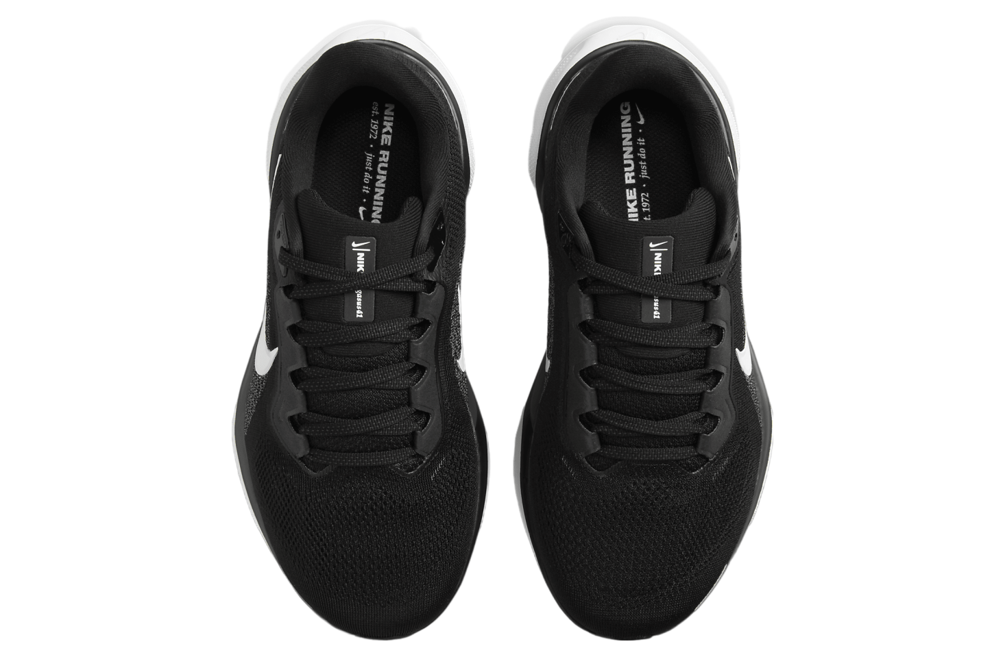 Nike Pegasus 41 WMNS Black / Anthracite (Extra Wide)