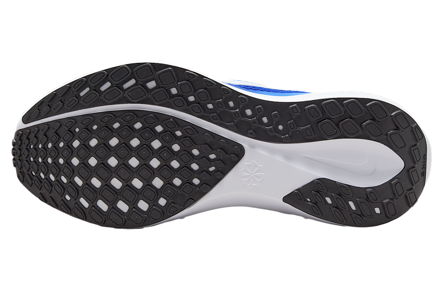 Nike Pegasus 41 WMNS Game Royal / Black