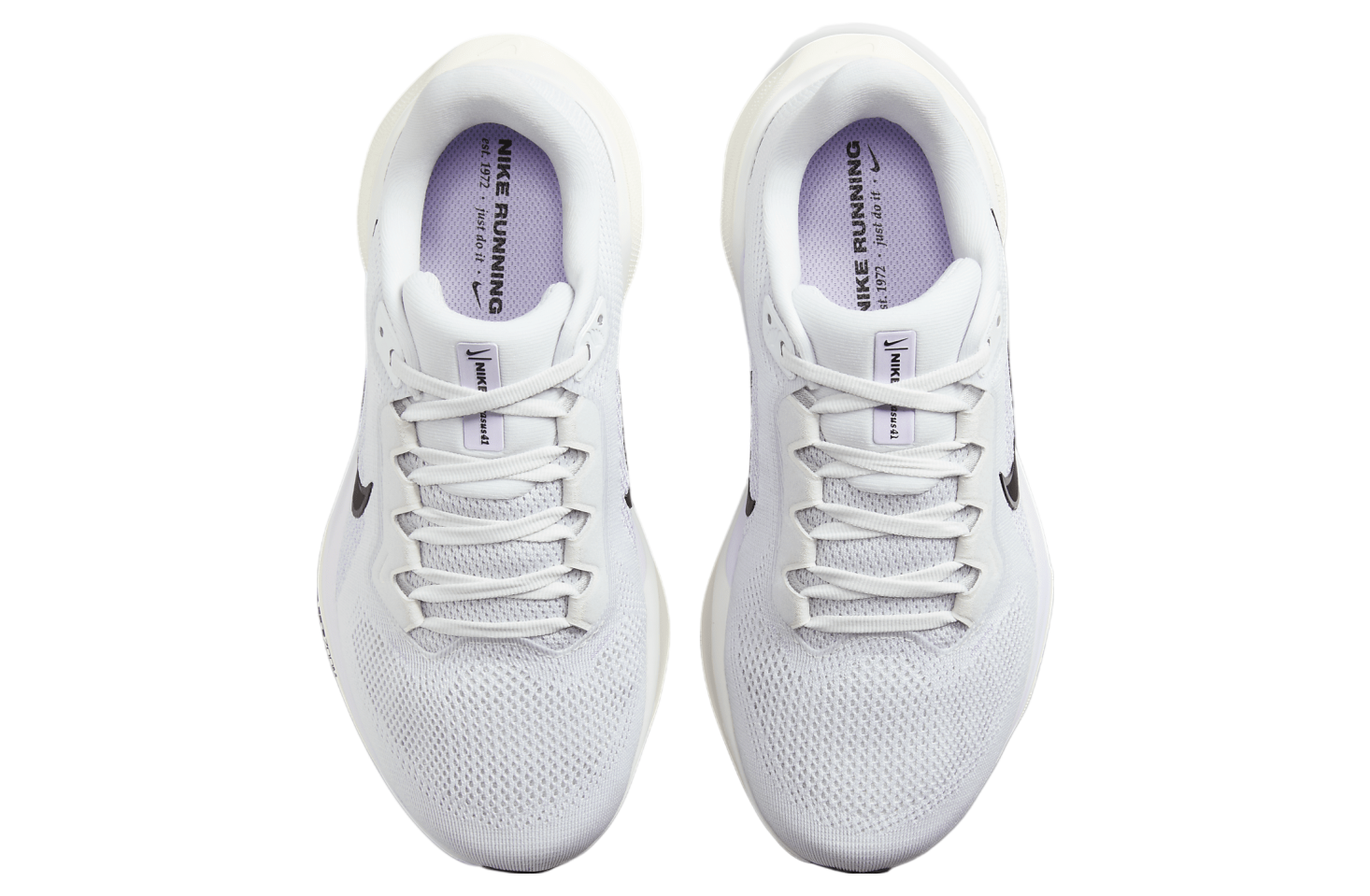 Nike Pegasus 41 WMNS Pure Platinum / Lilac Bloom (Extra Wide)