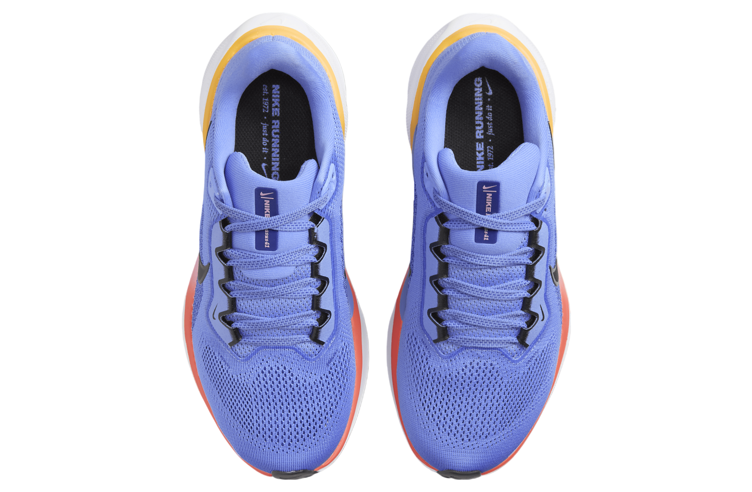 Nike Pegasus 41 WMNS Royal Pulse / Astronomy Blue