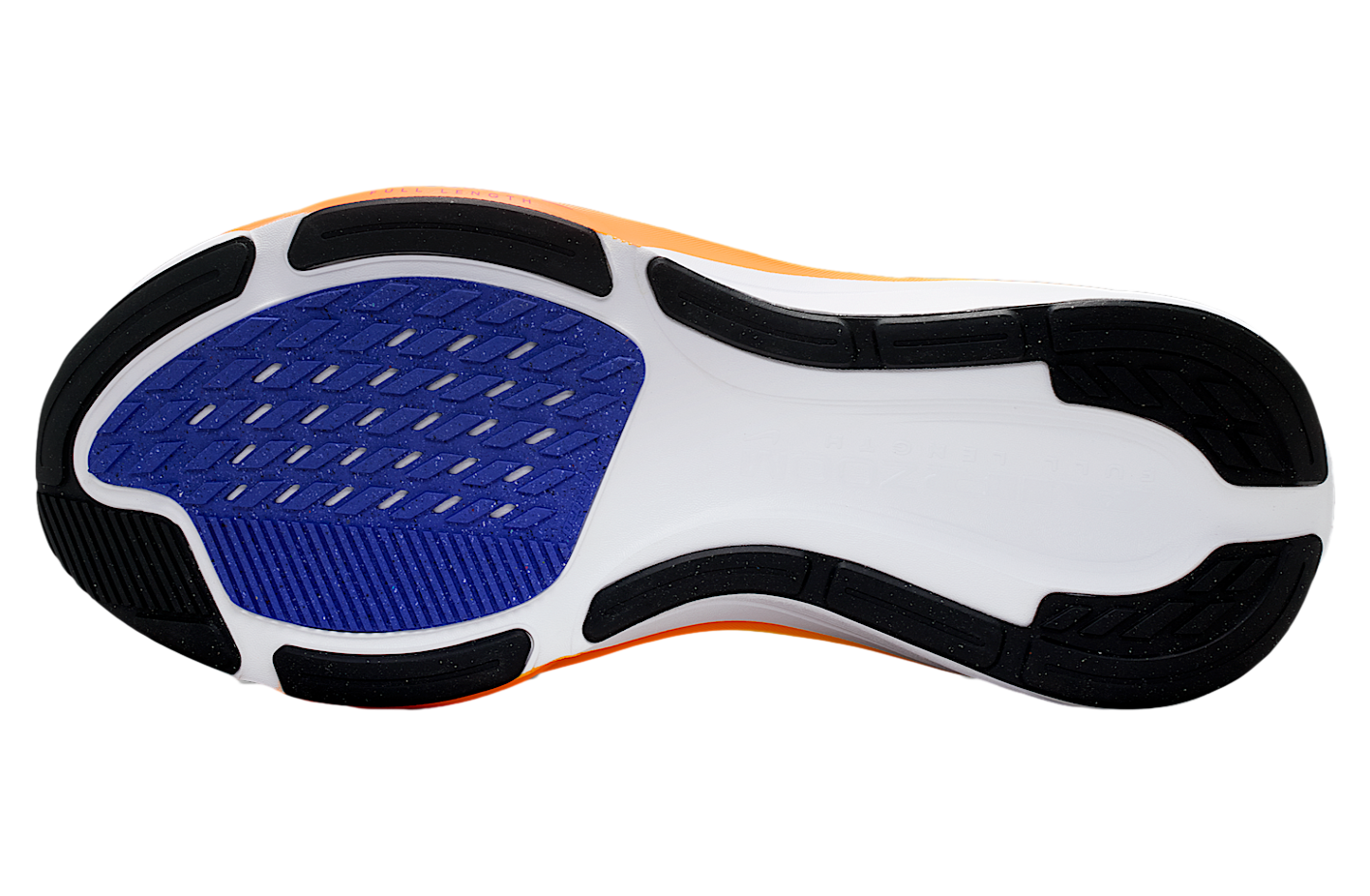 Nike Pegasus 42 White / Lapis