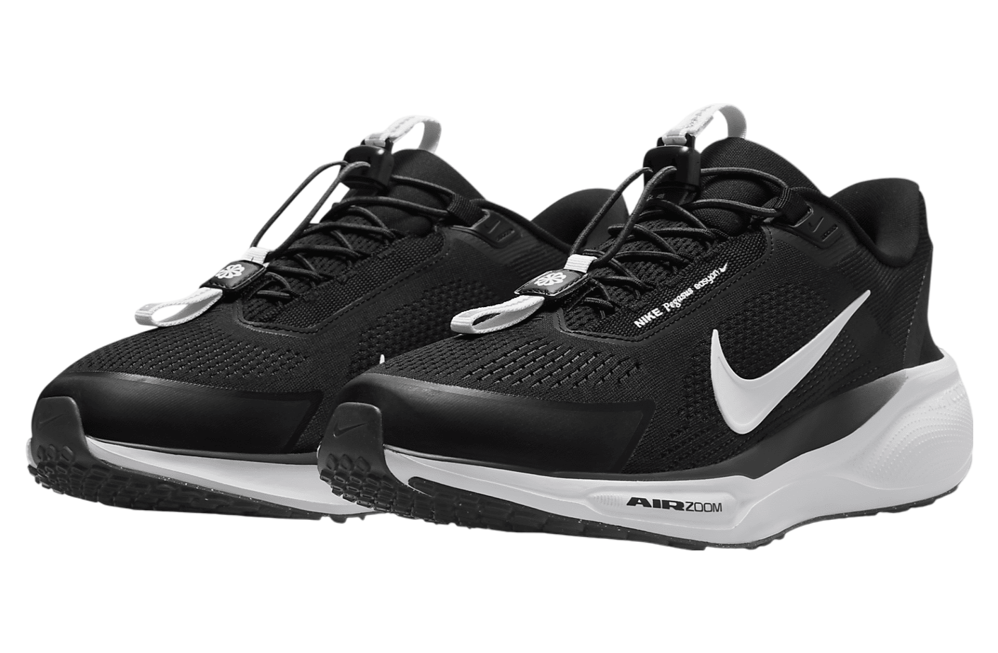 Nike Pegasus Easyon Black / Anthracite