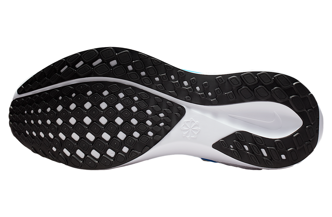 Nike Pegasus Easyon White / Black