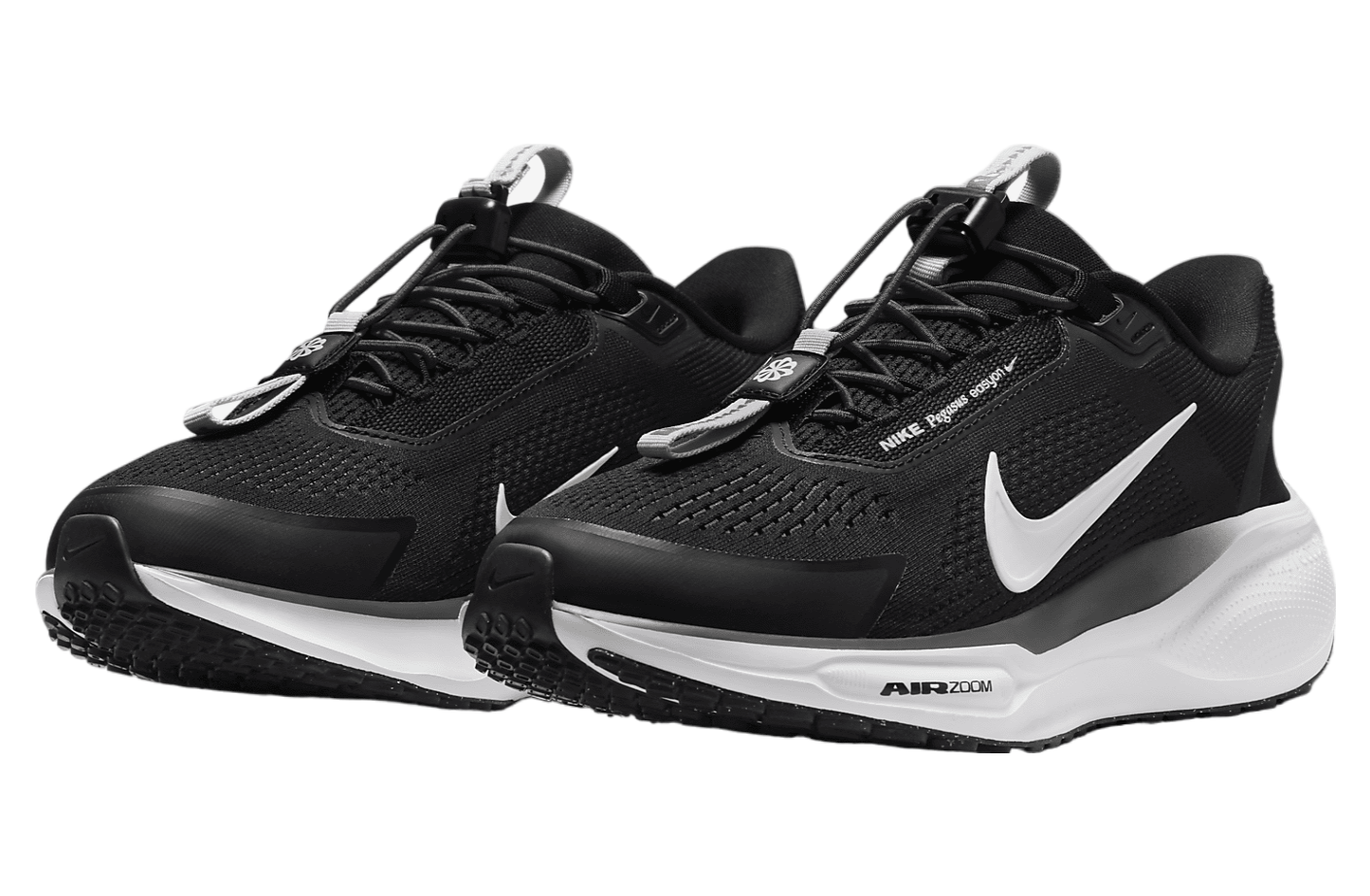 Nike Pegasus Easyon WMNS Black / Anthracite