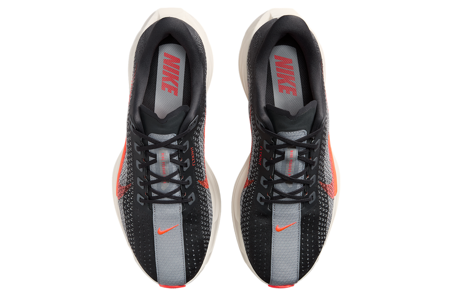 Nike Pegasus Plus Anthracite / Light Smoke Grey - Jun 2025